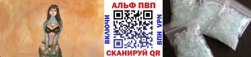 A PVP крисы CK Сураж