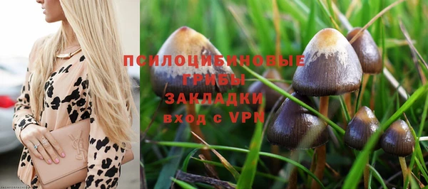 марки lsd Алексеевка