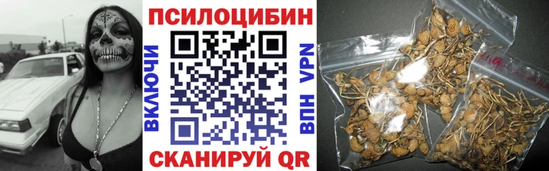 Псилоцибиновые грибы мицелий  закладка  Сураж 